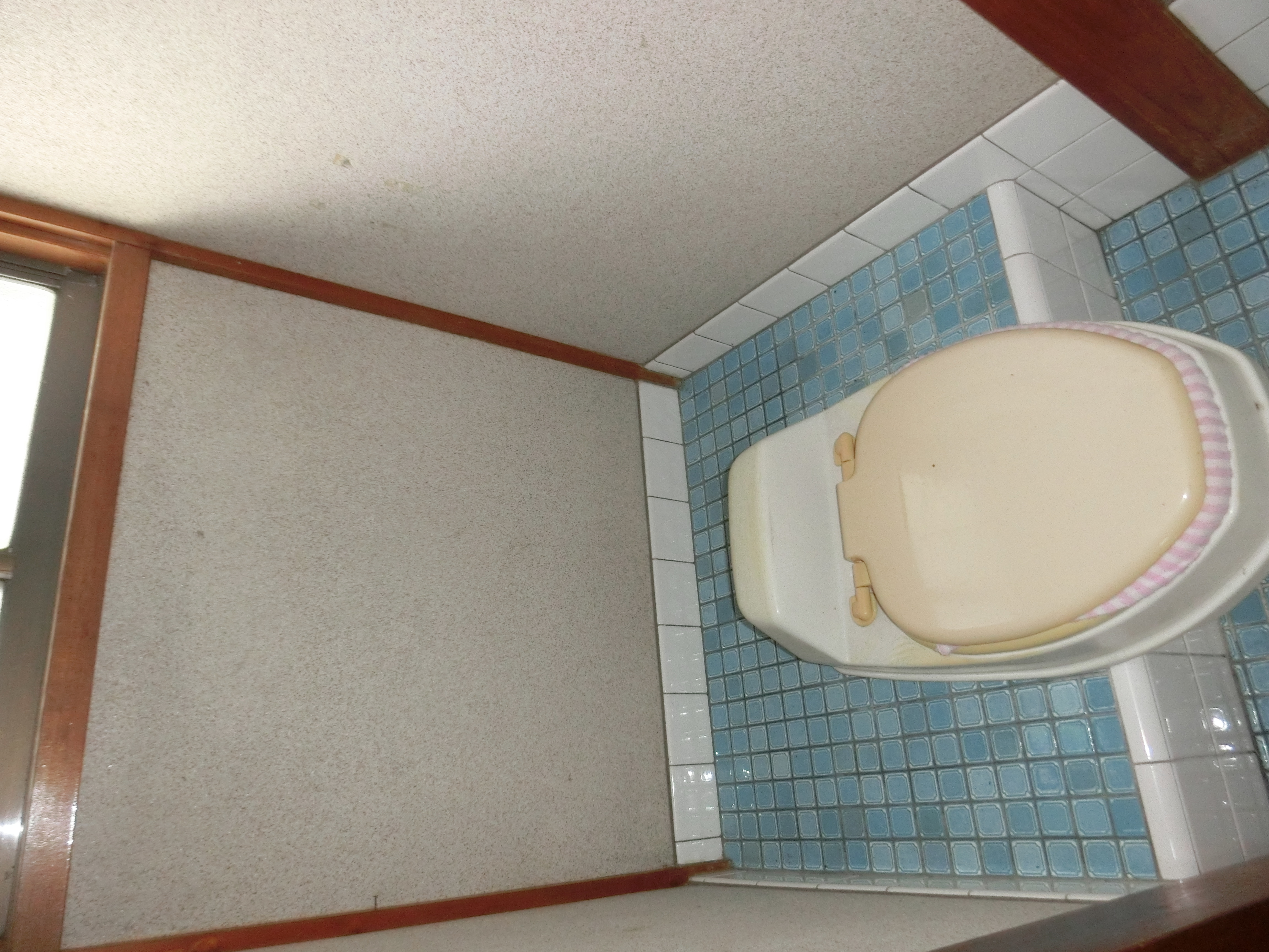 �����C���[�W