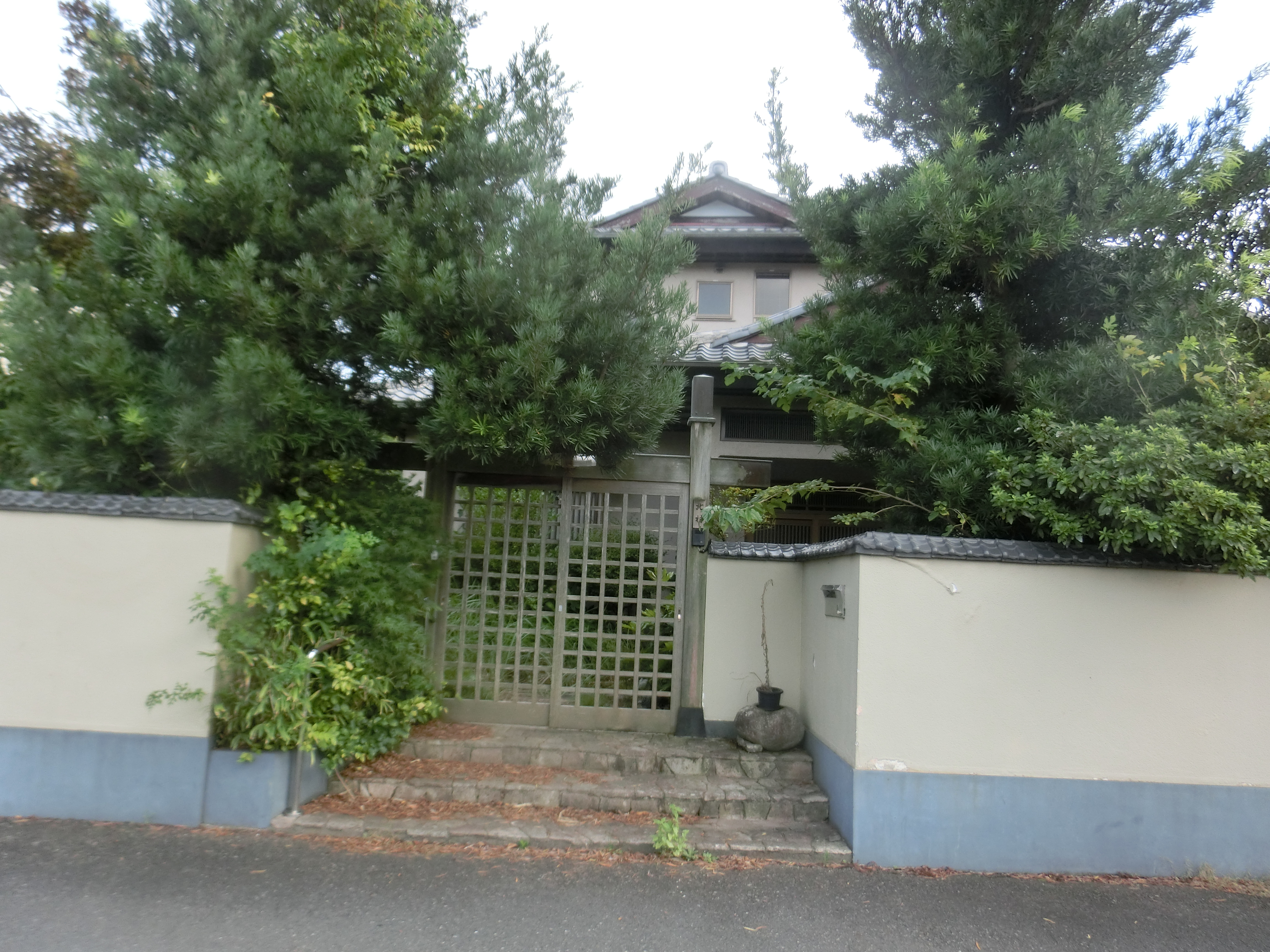 �����C���[�W