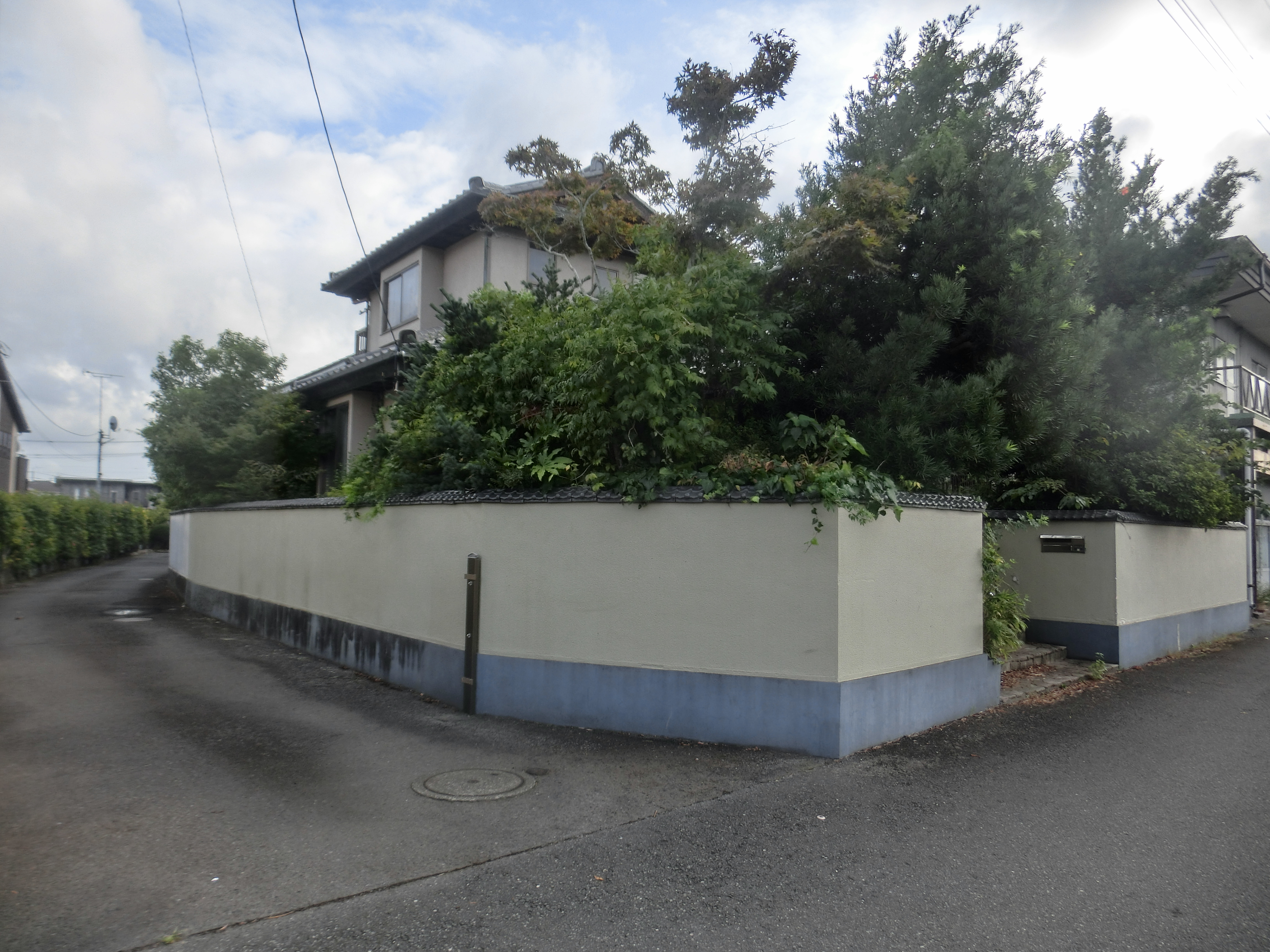 �����C���[�W