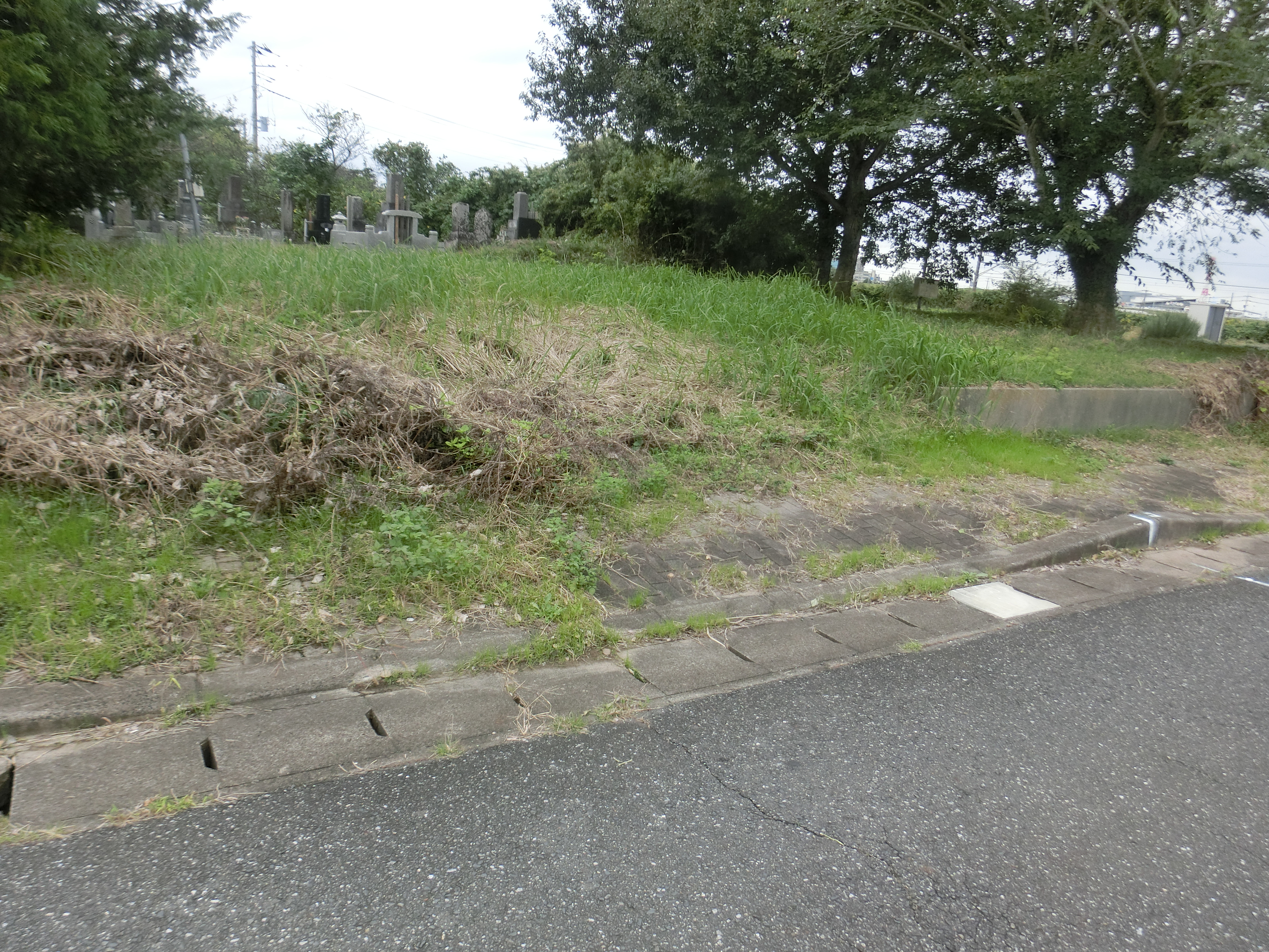 �����C���[�W