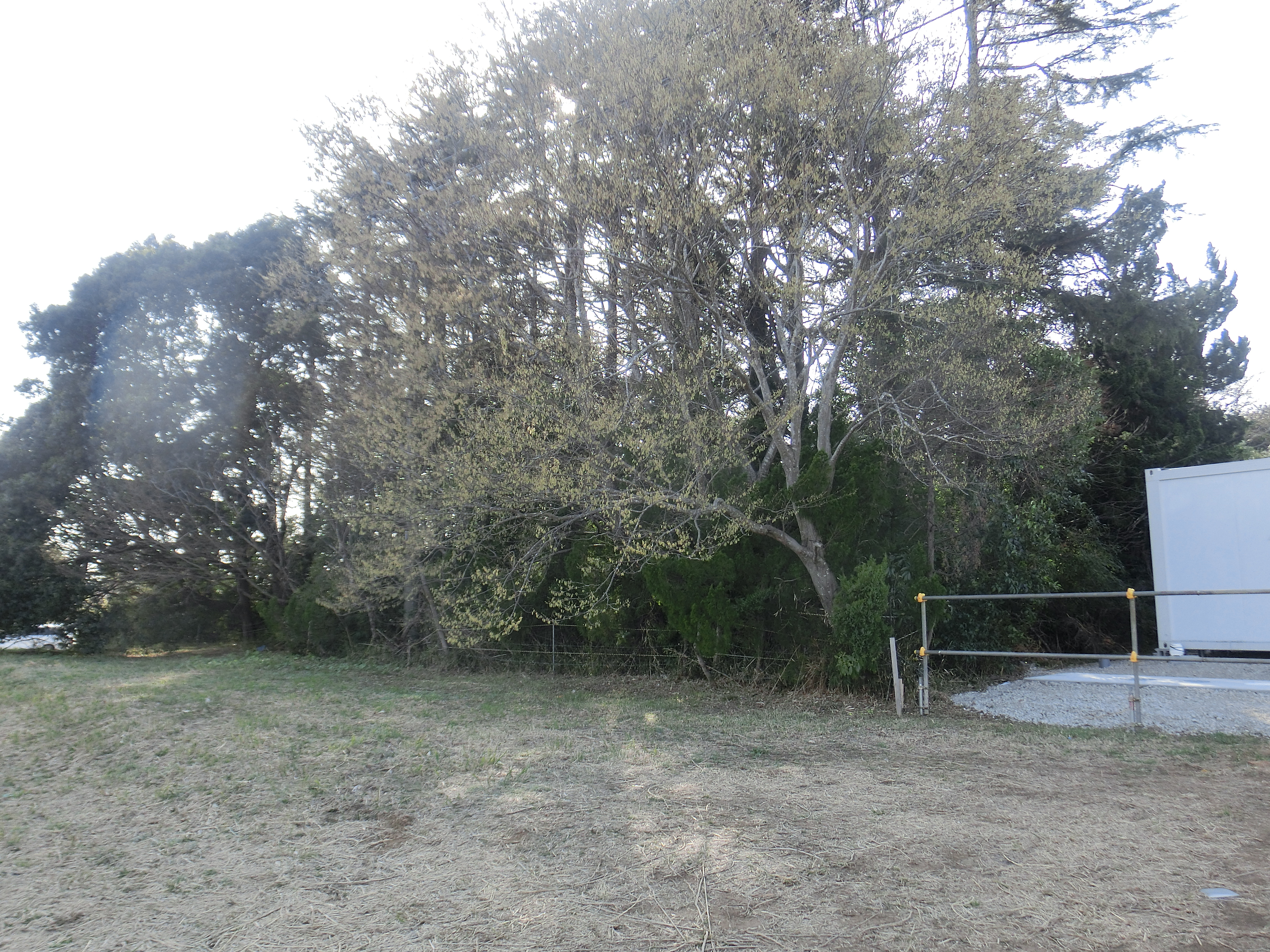 �����C���[�W