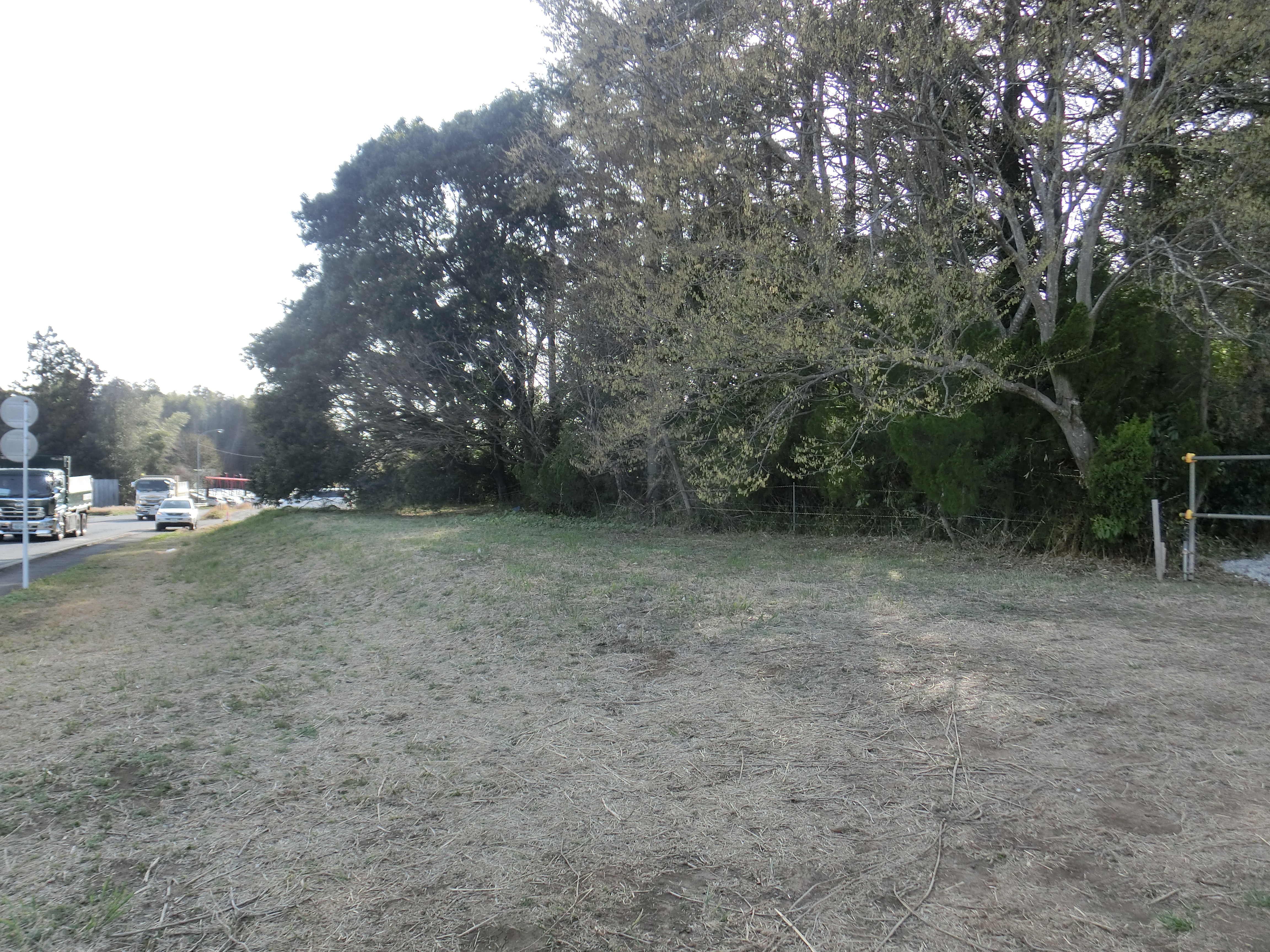 �����C���[�W