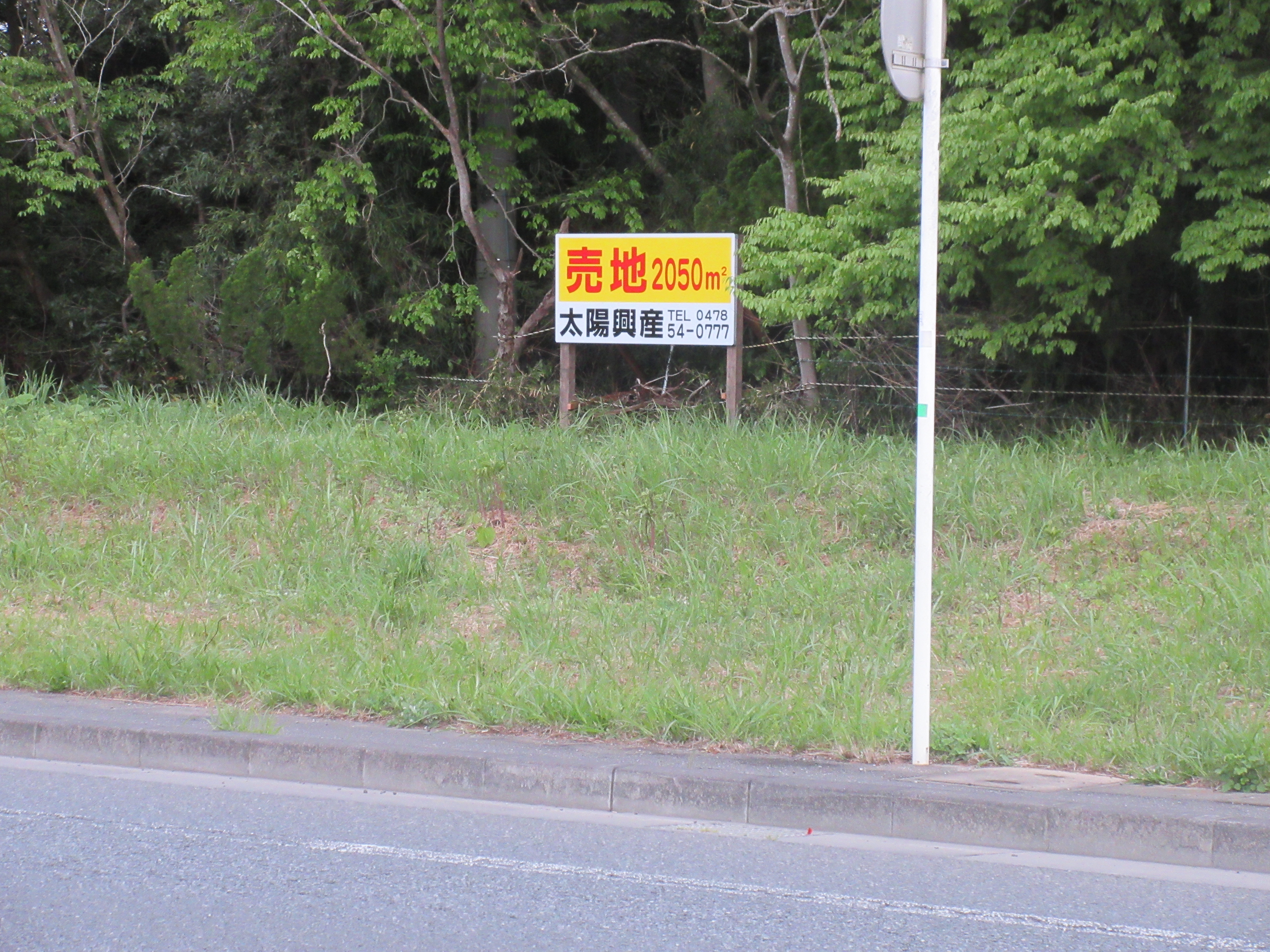 �����C���[�W